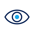 icona-visione-rischio-cyber-navy